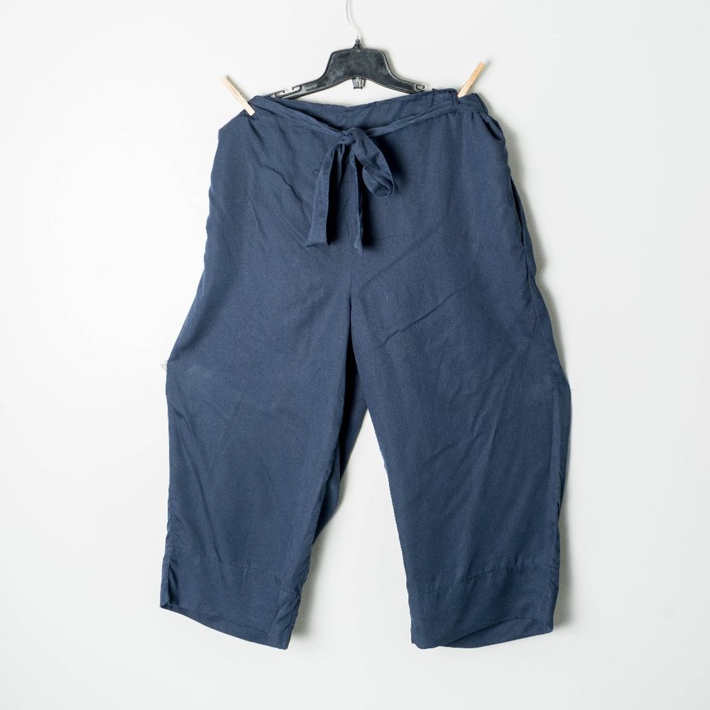 NWOT DEX wide leg pant - 1 x